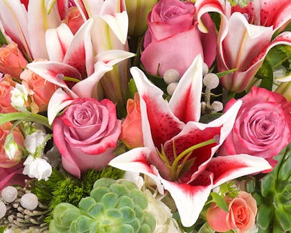 Red and white stargazers coexist with pink roses in a floral arrangement